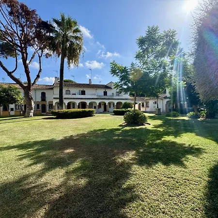 Arcos Elviria By Homing